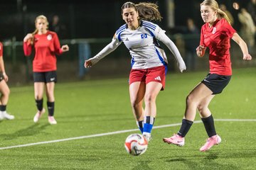 Bild 359 - wBJ Hamburger SV - Eimsbuettler TV 2 : Ergebnis: 16:0